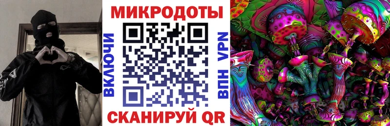 Галлюциногенные грибы Cubensis  Кашин 