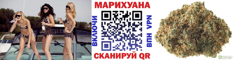 Шишки марихуана марихуана  Кашин 